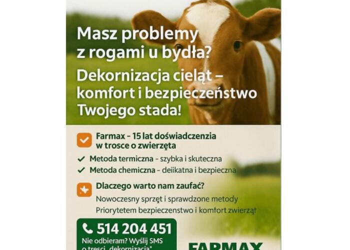 Grajewo ogłoszenia: Witamy.
Nasza firma oferuje usługi z zakresu dekornizacji...