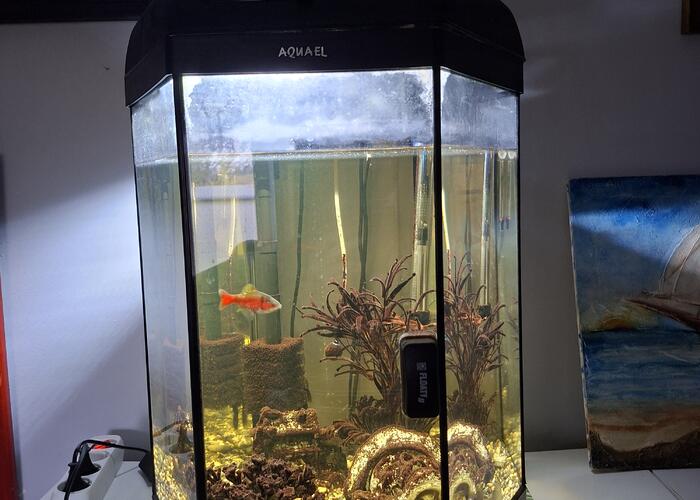 Grajewo ogłoszenia: Sprzedm akwarium Hexa Set Lt 60l zawiera sześciokątny zbiornik o...